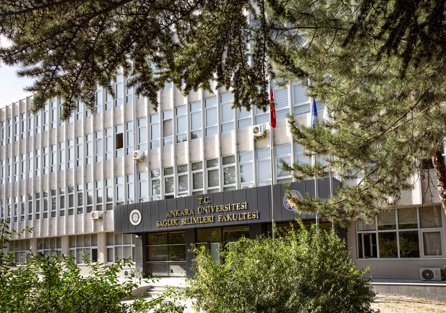 Ankara Üniversitesi Sağlık Bilimleri Fakültesi - Ankara Üniversitesi, Ankara, Keçiören Ankara Üniversitesi Sağlık Bilimleri Fakültesi - Ankara Üniversitesi, Ankara, Keçiören